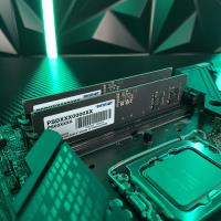 PATROIT Signature Line 16GB (1x16GB) DDR5 4800MHz CL40 Ram (PSD516G480081)